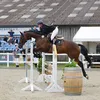 femke.thayse