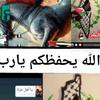 lbrahim.albyouk