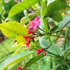 eesha.ariyarathna