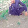 sfuyain