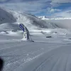 just_snowbird