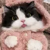 vy_taphoa