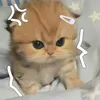 pink_vibes419