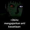 user381271863