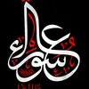 hader7335