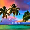 paradisevideo.1