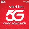 vivo17447