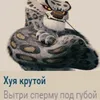 zlivki5