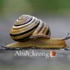 ABAH_KEONG