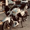 white_angel.50