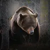8_iesnik.8