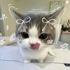 soappp12