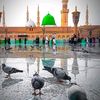 المدينة المنورة 💚