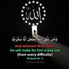 user5308430521015