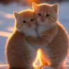 hanane.nina132