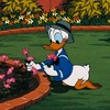 donaldduck_992