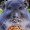 sillygooober_ac