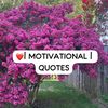 love_motivational_quotes