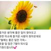 user8611246256504