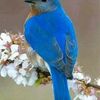 ricardo.luevano.r1