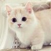 doris.gmez81