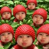 zglu_7