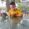 v.vn.hng403