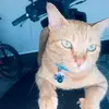 www.tiktok.com.deliyano