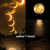 moon_lights82