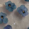 kazumilovey1