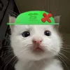 meovotriwww