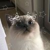mba_ess