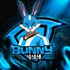 bunny.44401
