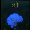 bebo79228