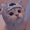 cutecat1234hi