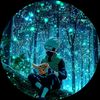 linn.latt.aung751