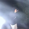 esteh_741