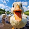 abdou_07_kh