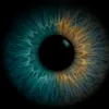 sof1a_zyx