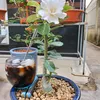 tun.nguyn4726
