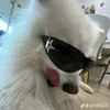 j_ren00