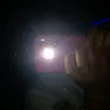carang13_ly