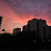 dedicar._videos1