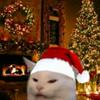 christmas.cat2