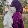 sadia.memoona6677