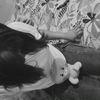 _thv.dalu
