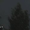 dniielx25l