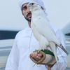 hamdan.alshawi