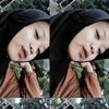 anislestari