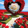 user8000166609758